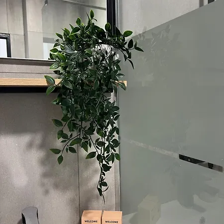 Appartement Joli T2 Rénové *