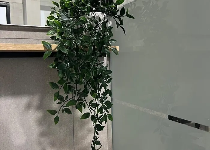 아파트 Joli T2 Renove *